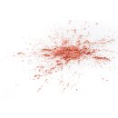 Loose powder blush - Loses Puder Rouge CORAL 3 gr